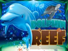 Слот Dolphin Reef